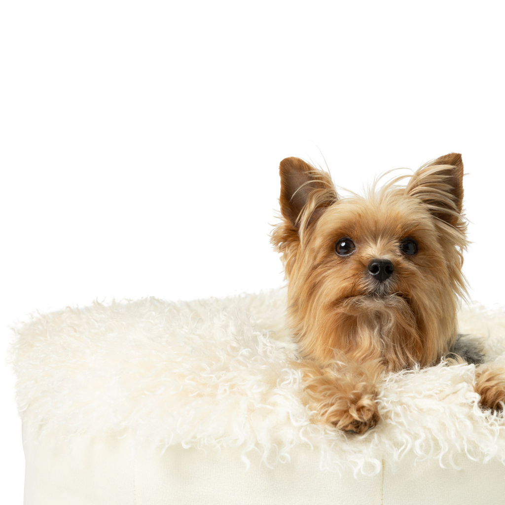 Dailypets Plush Sheep Faux Fur Donut Pet Bed