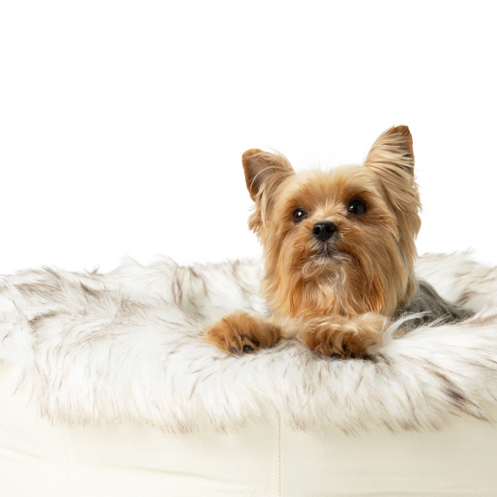 Dailypets Round Faux Fur Pet Bed for Curling Up