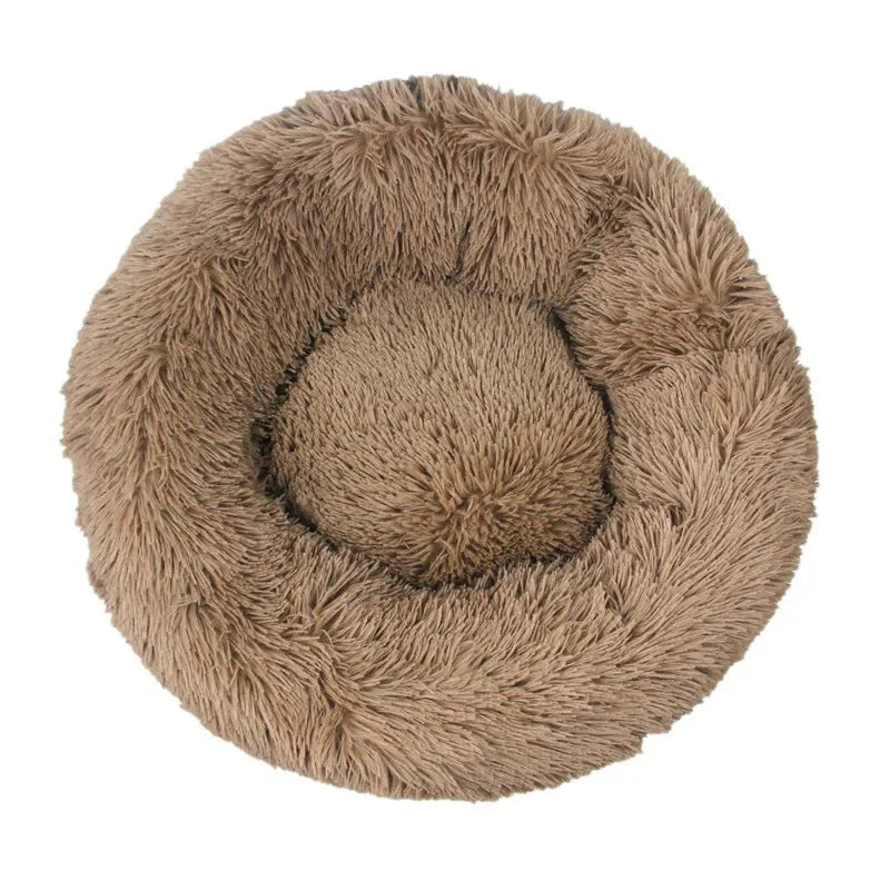 Dailypets Calming Plush Pet Bed with Raised Supportive Rim for Restful Everyday Sleep