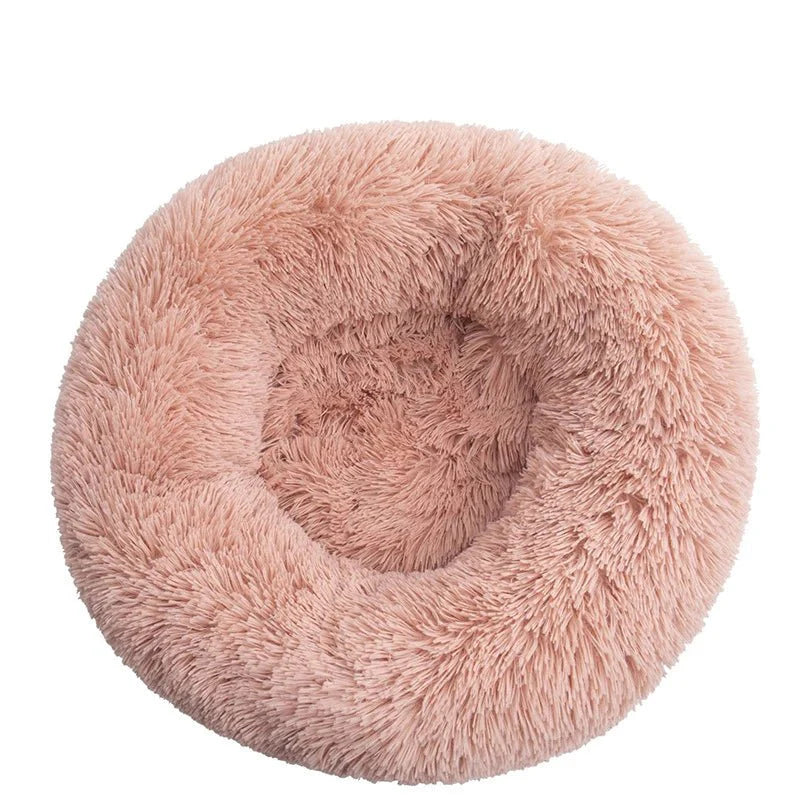 Dailypets Calming Plush Pet Bed with Raised Supportive Rim for Restful Everyday Sleep