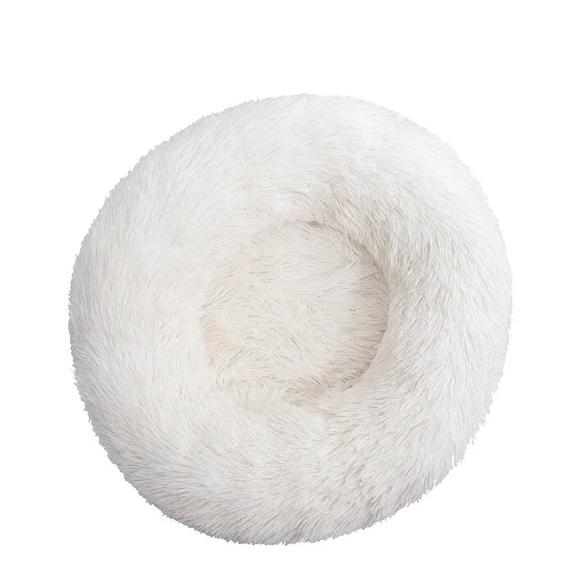Dailypets Calming Plush Pet Bed with Raised Supportive Rim for Restful Everyday Sleep