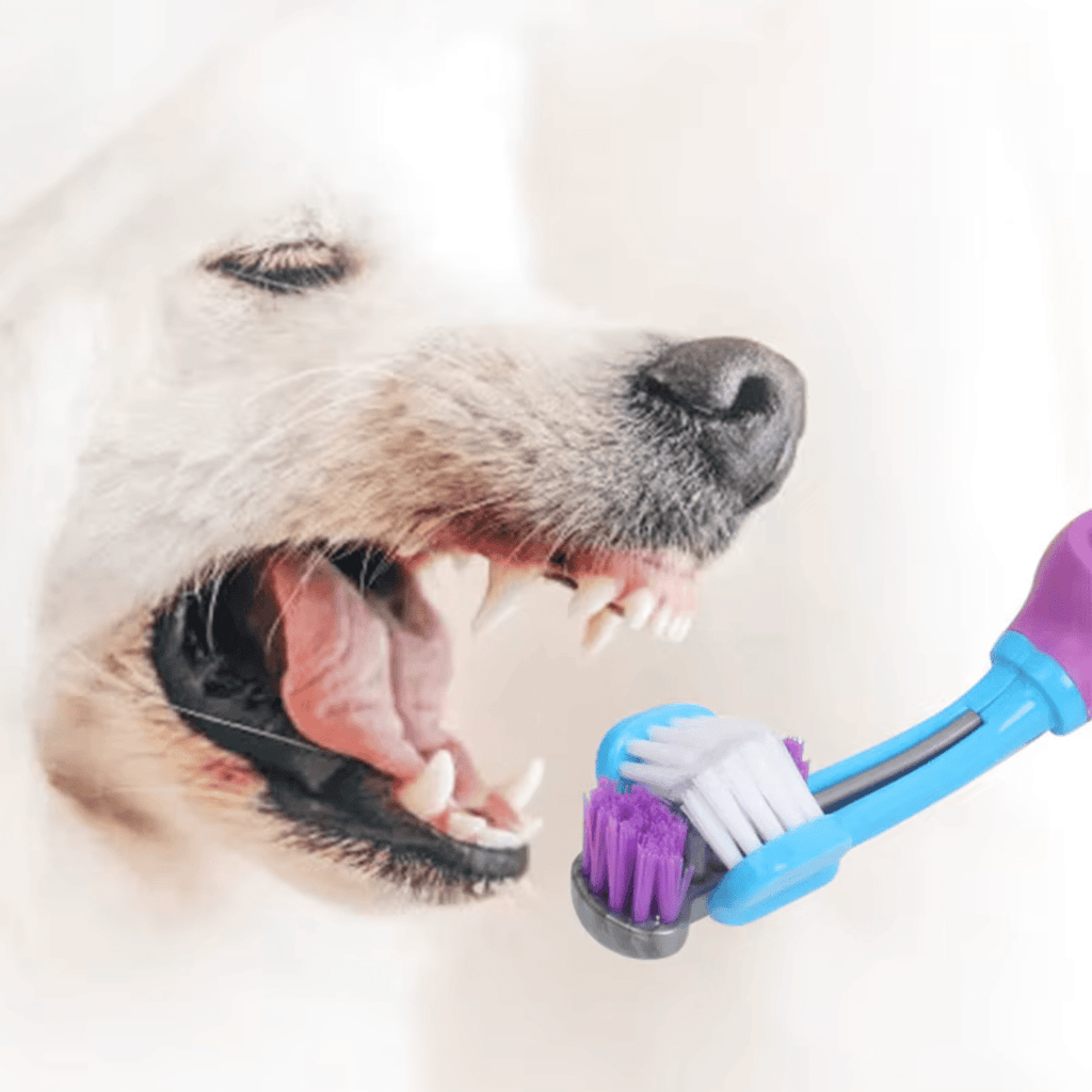 Dailypets Pet Toothbrush with Three-Sided Brush Head for Faster Dog and Cat Cleaning
