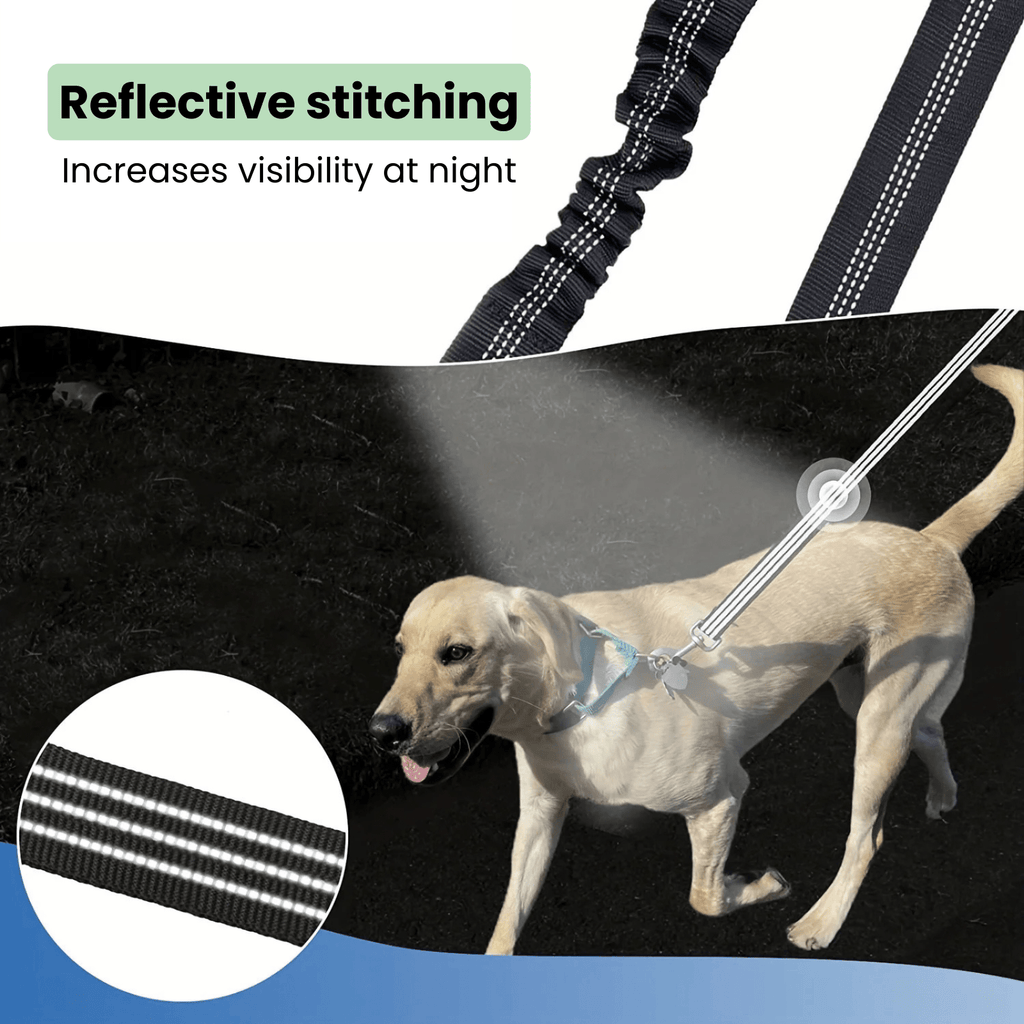 Dailypets Dual Pet Leash Attachment for Two Dogs with Reflective Stitching and Swivel