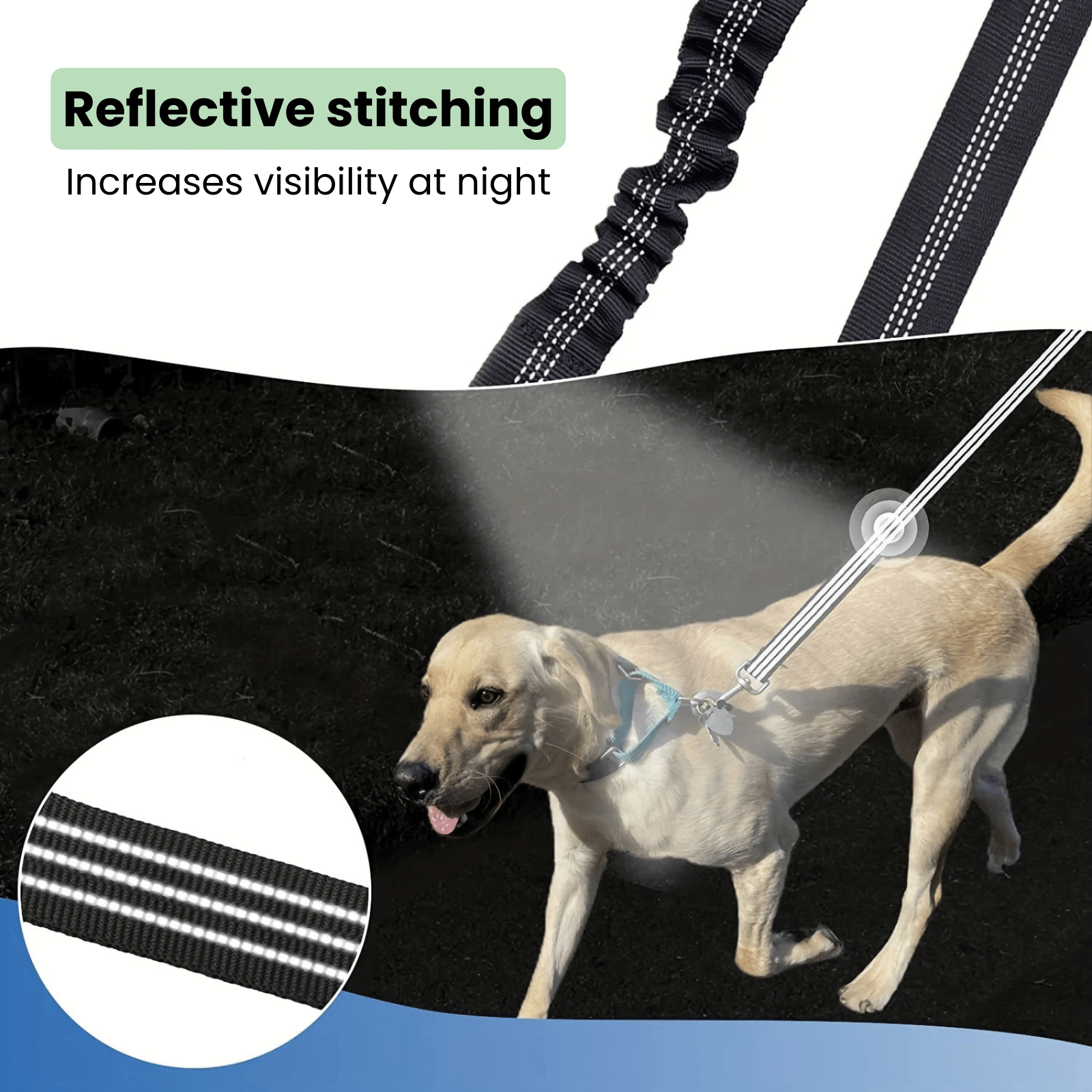 Dailypets Dual Pet Leash Attachment for Two Dogs with Reflective Stitching and Swivel