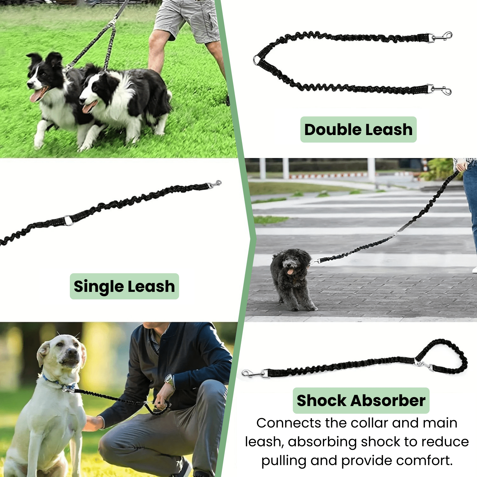 Dailypets Dual Pet Leash Attachment for Two Dogs with Reflective Stitching and Swivel