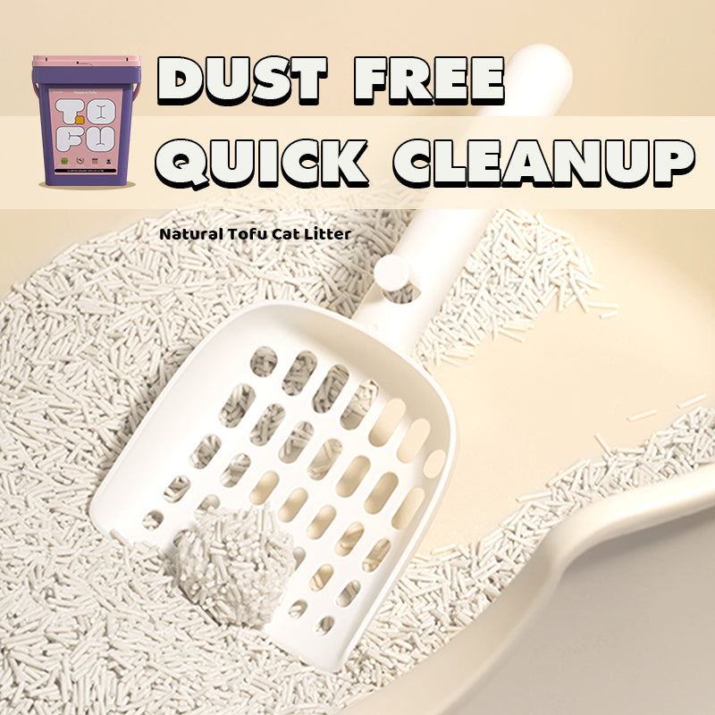 Dailypets Clumping Cat Litter 4 Bags for Odor Management