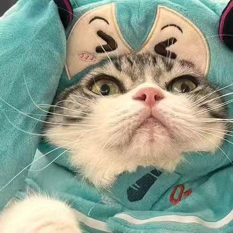 Dailypets Character-Inspired Cat Shawl with Soft Fabric and Mint Green Design