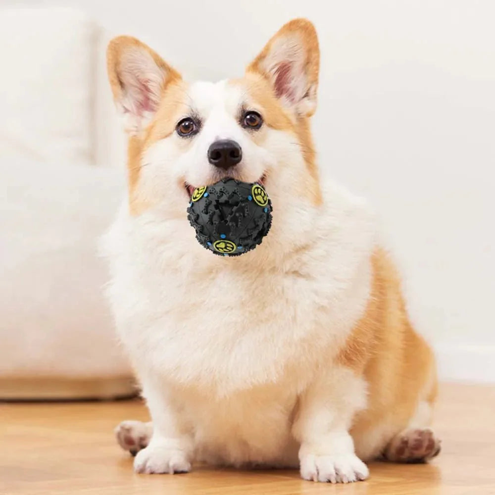 Dailypets Interactive Treat Dispensing Ball for Dogs – Dental Chew Toy