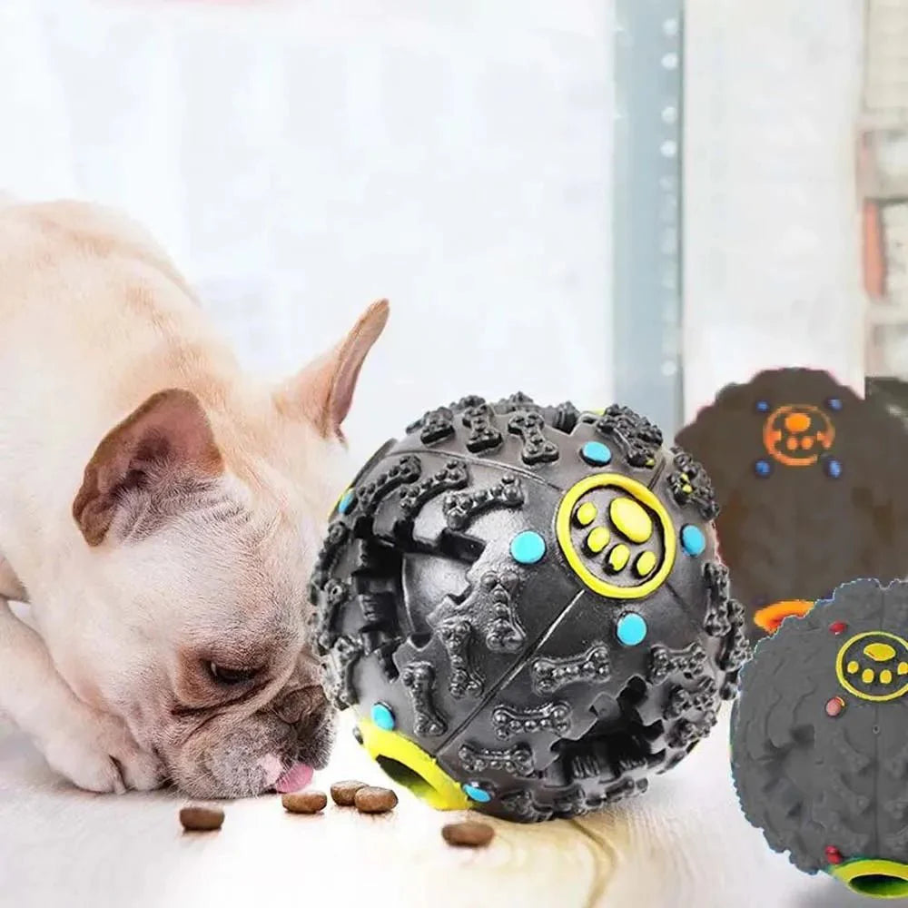 Dailypets Interactive Treat Dispensing Ball for Dogs – Dental Chew Toy
