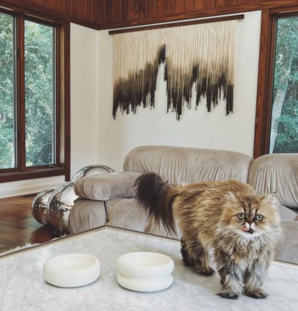 Dailypets Elevated Ceramic Cat Dining Bowl