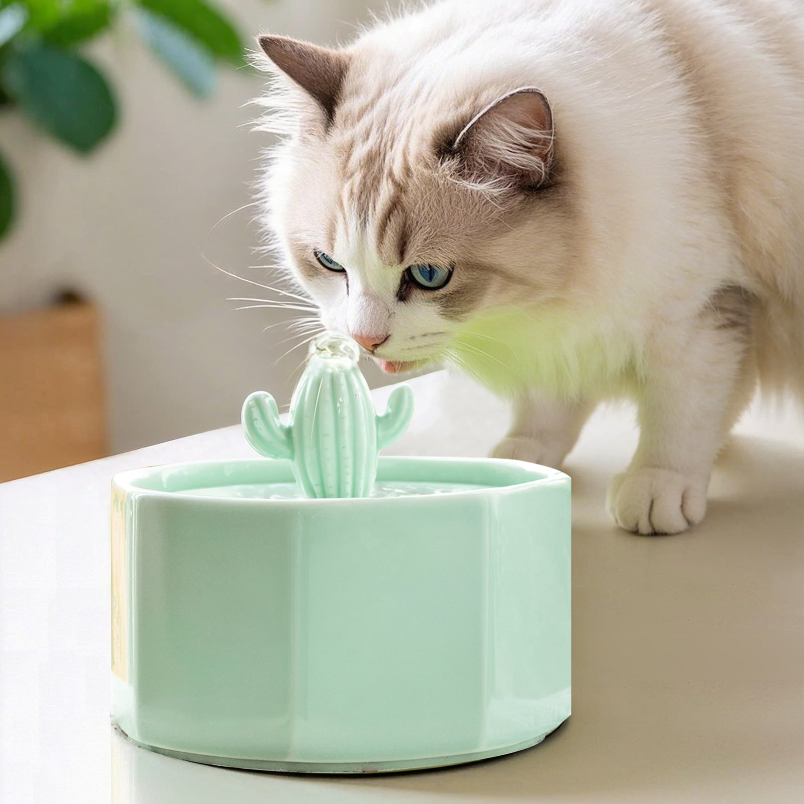 Dailypets Ceramic Cactus Cat Water Fountain 50oz with Automatic Filtration