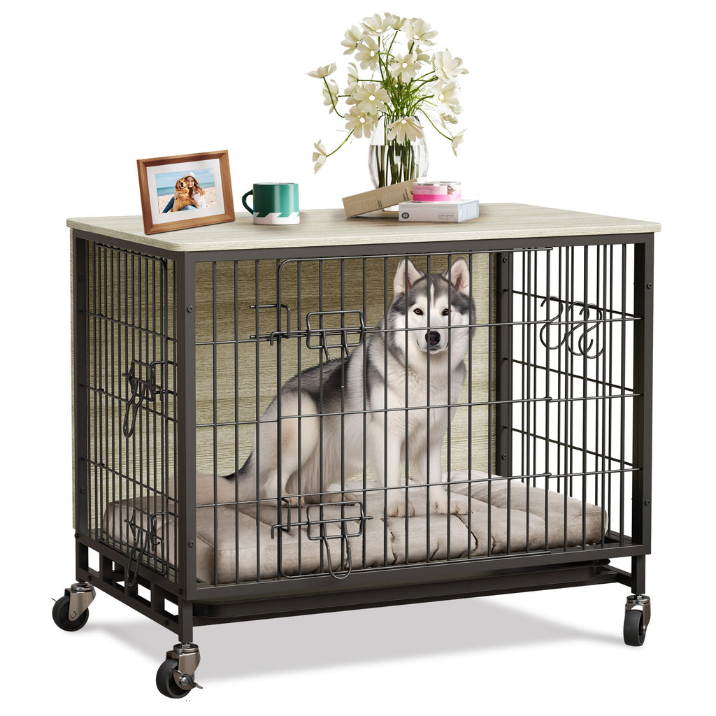 Dailypets Medium Indoor Dog Kennel with Dual Entry & Lockable Wheels