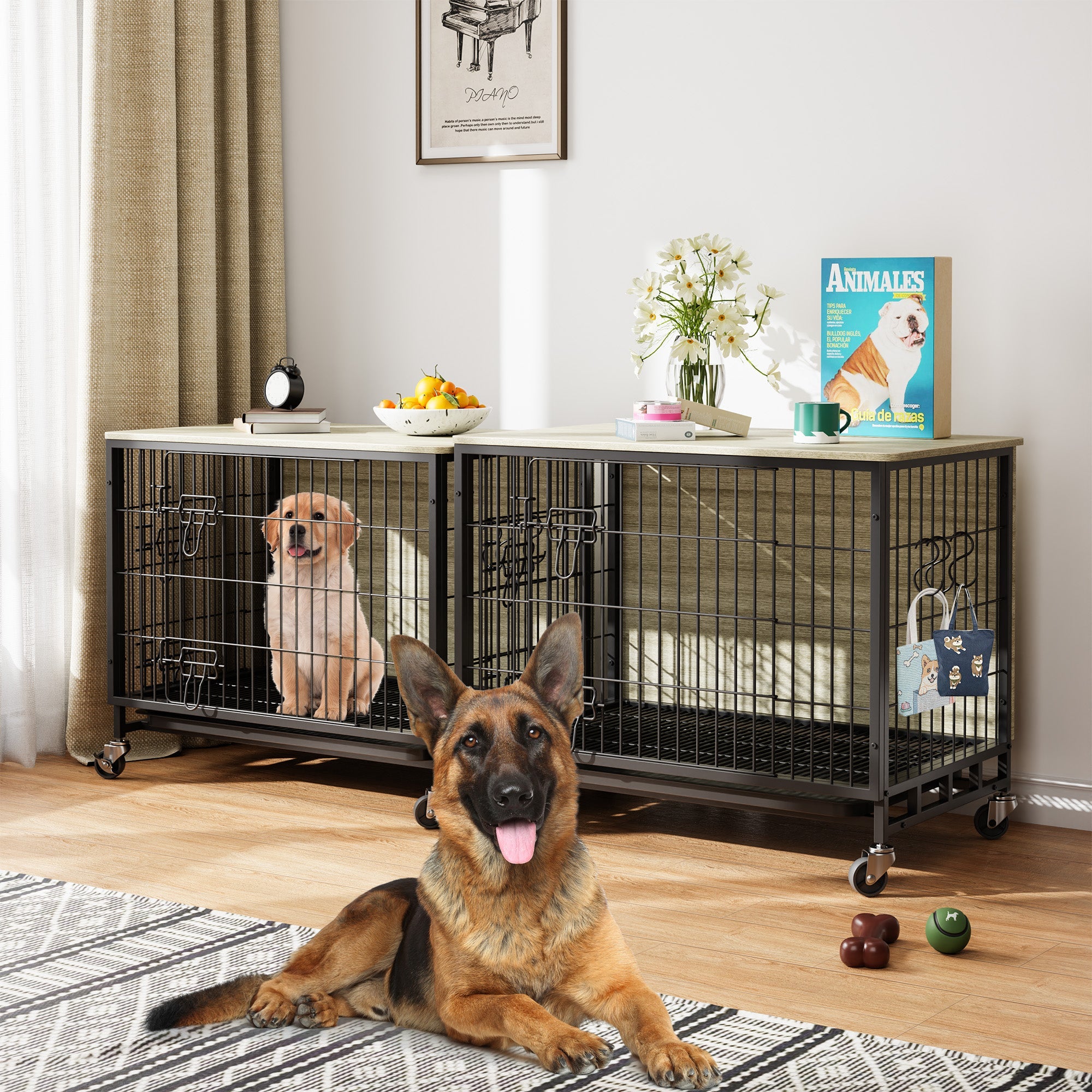 Dailypets Medium Indoor Dog Kennel with Dual Entry & Lockable Wheels