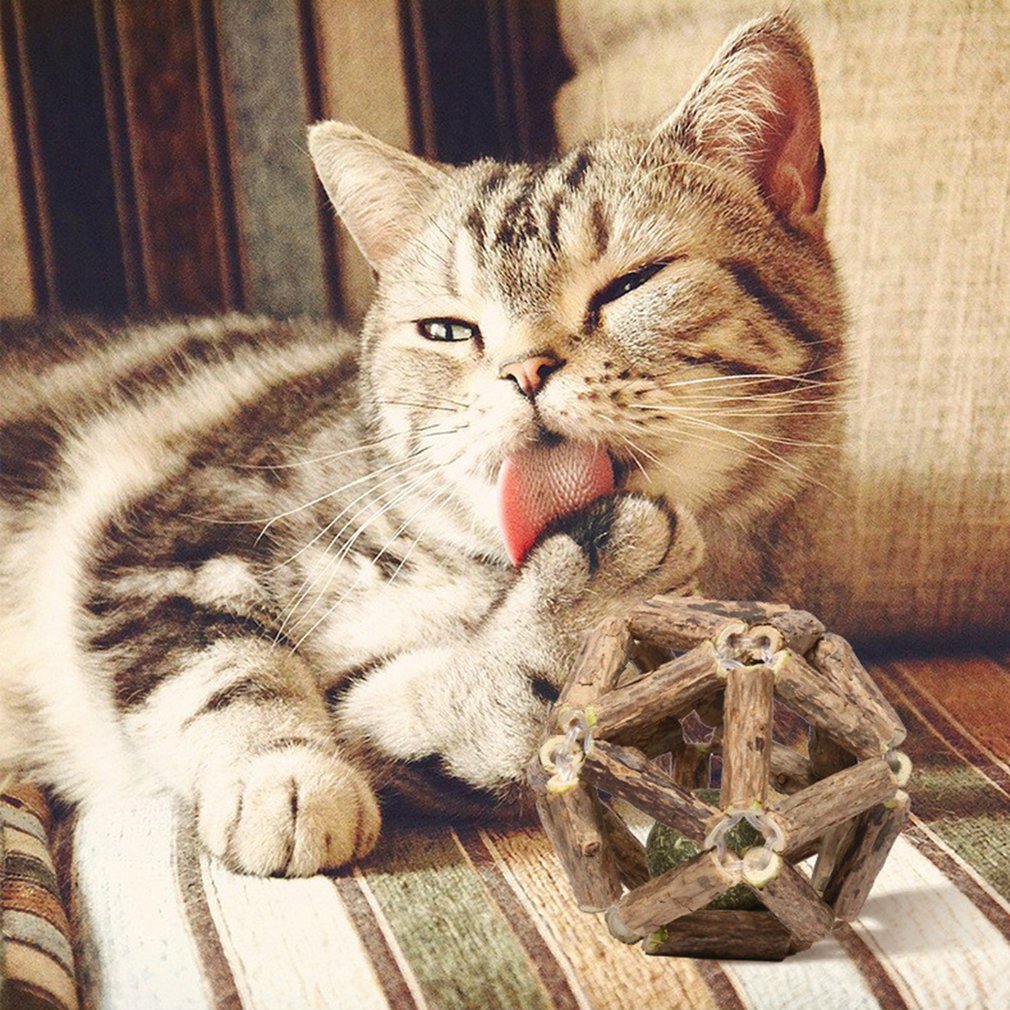 Dailypets Catnip Chew Toy – Natural Wood Teaser Ball for Interactive Indoor Cat Play