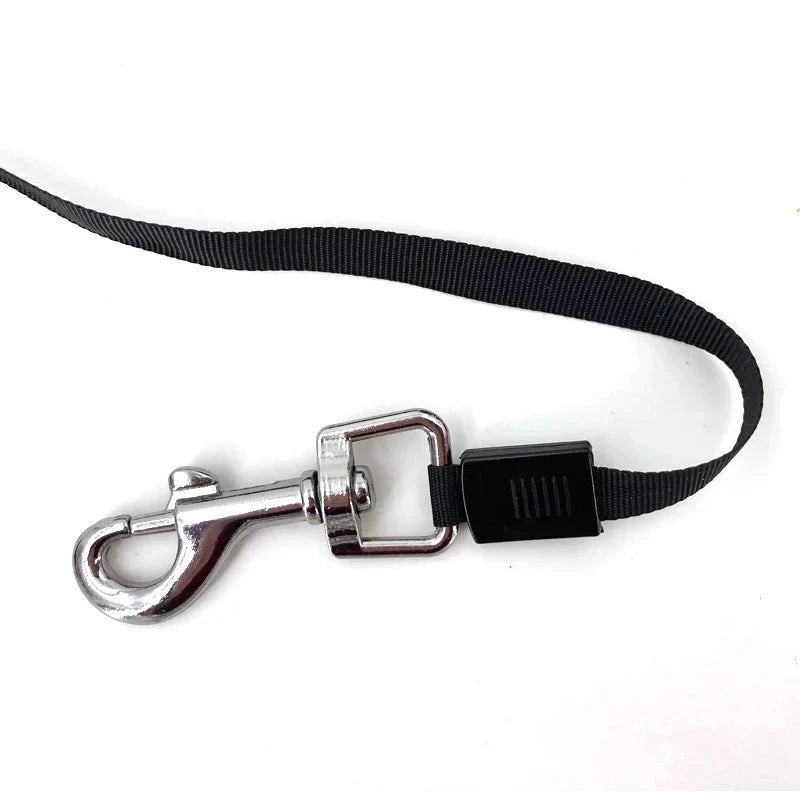 Dailypets 3 m & 5 m Retractable Dog Lead with Ergonomic Grip and Secure Lock