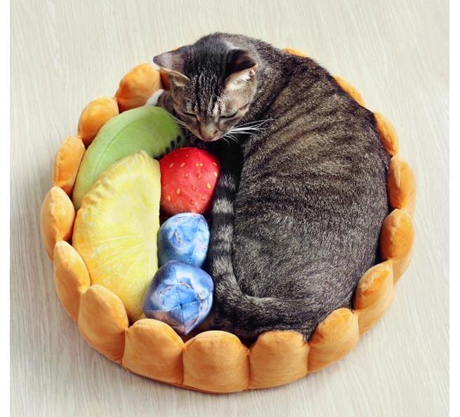 Dailypets Cozy Fruit Tart Cat Bed with Playful Plush Accents