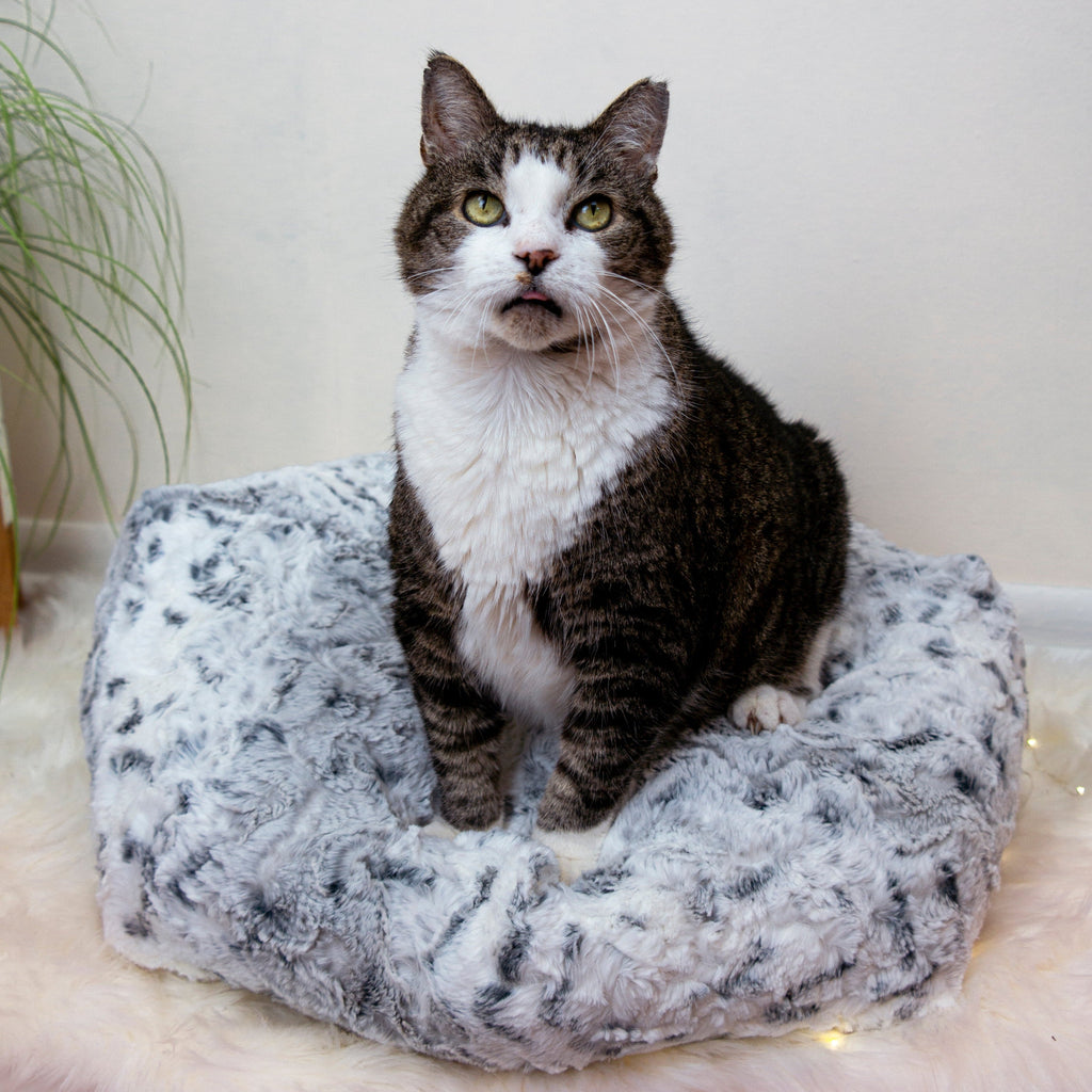Dailypets Snow Leopard Plush Pouf Cat Bed Soft Faux Fur Lounger