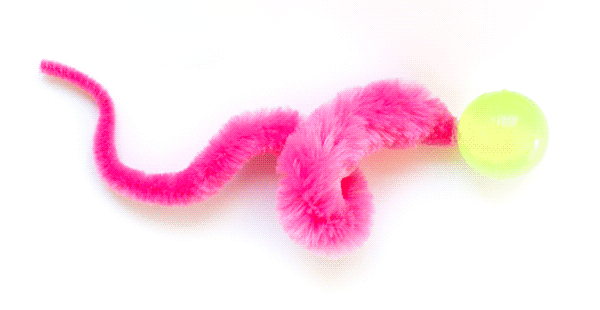 Dailypets Glow Cat Ball Toy with Catnip Tail Set