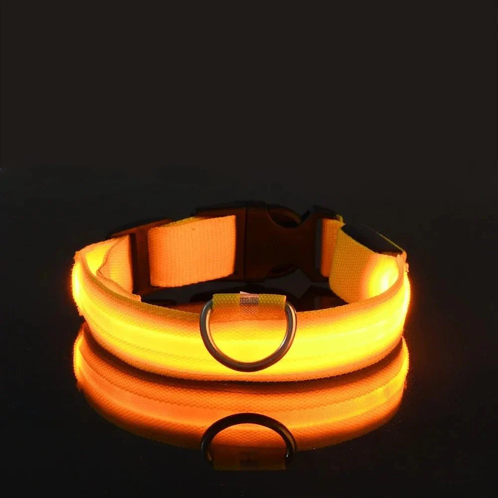 Dailypets USB Rechargeable LED Dog Collar with Adjustable Fit for Night Walks