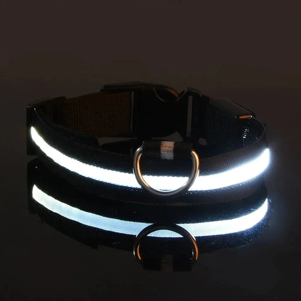 Dailypets USB Rechargeable LED Dog Collar with Adjustable Fit for Night Walks