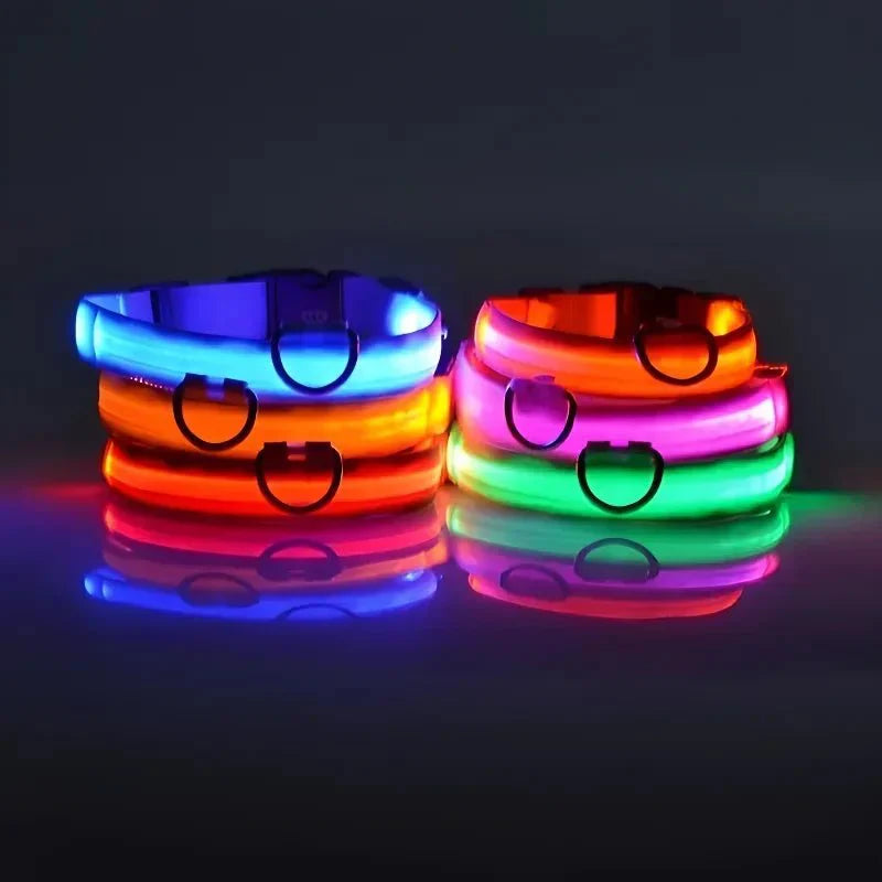 Dailypets USB Rechargeable LED Dog Collar with Adjustable Fit for Night Walks