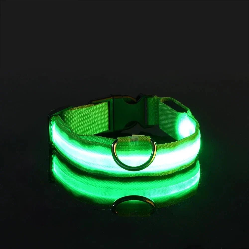 Dailypets USB Rechargeable LED Dog Collar with Adjustable Fit for Night Walks