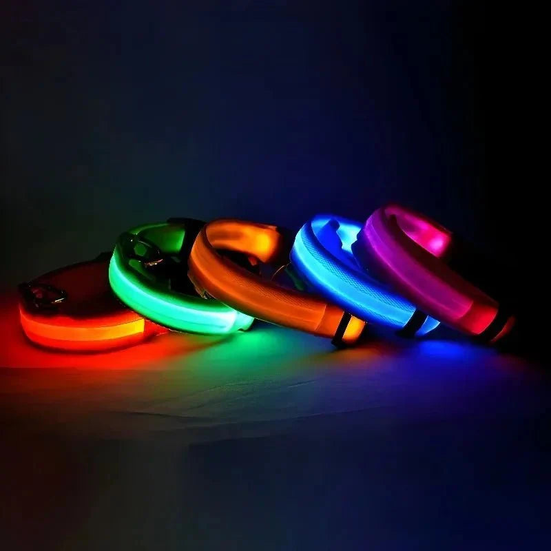 Dailypets USB Rechargeable LED Dog Collar with Adjustable Fit for Night Walks