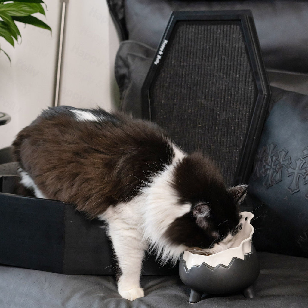 Dailypets Ceramic Cat Bowl Gothic Ghost Pet Food Bowl