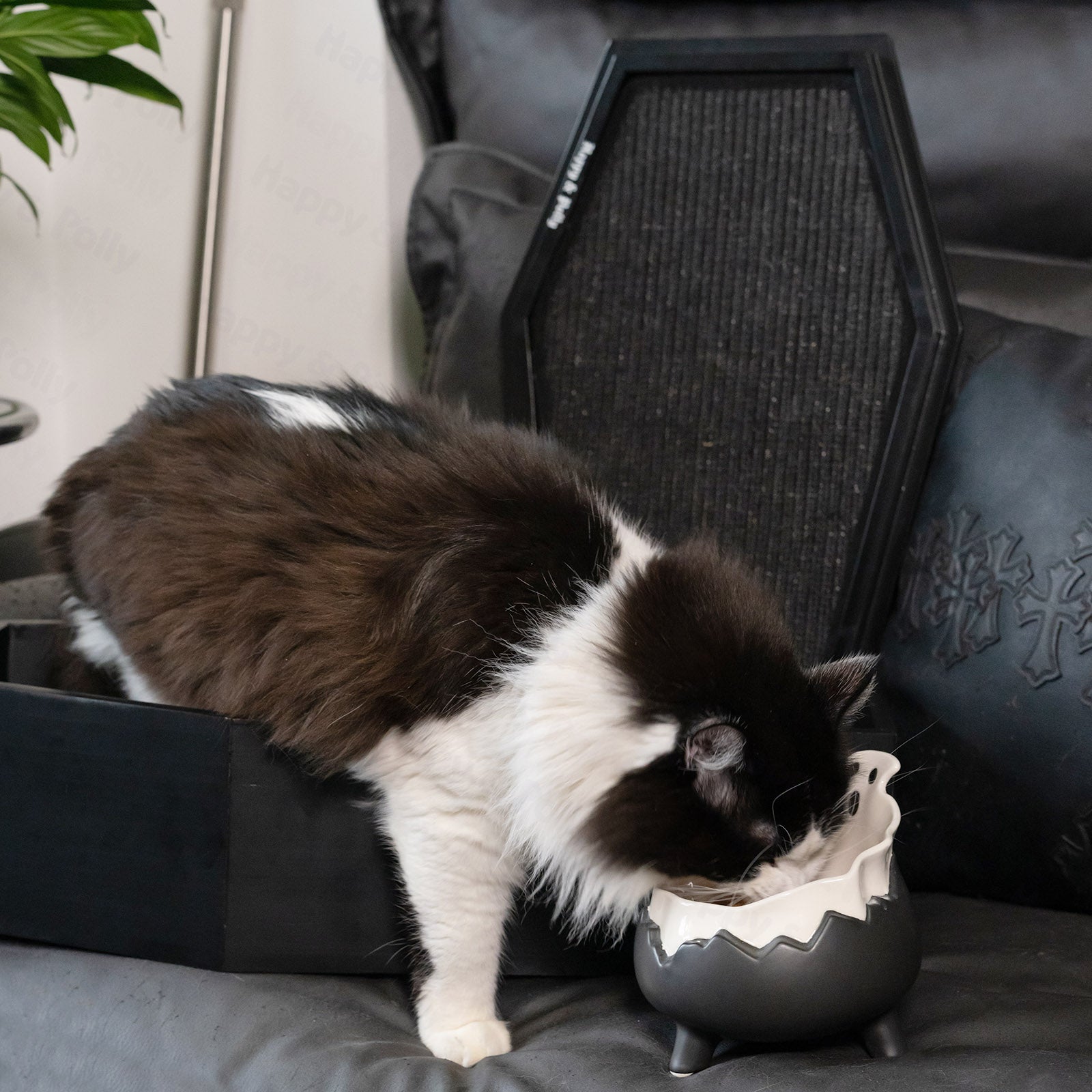 Dailypets Ceramic Cat Bowl Gothic Ghost Pet Food Bowl