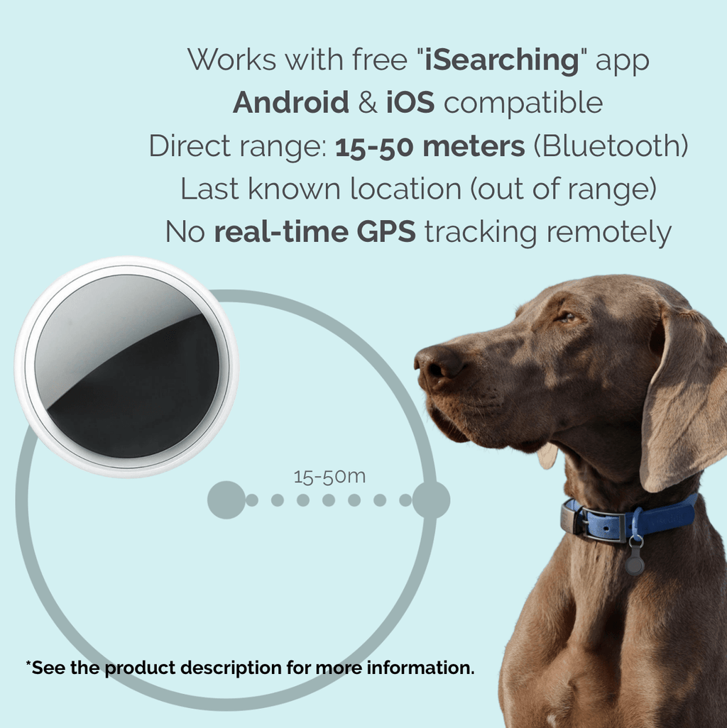 Dailypets Bluetooth Pet Tracking Device with Last Location Memory and App Support