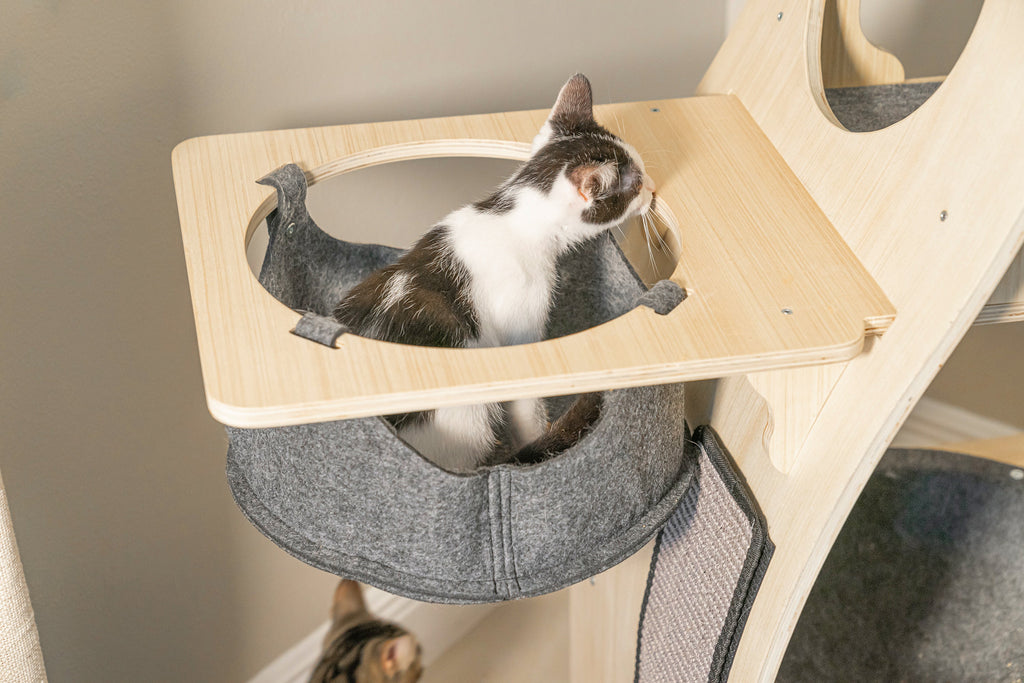 Dailypets Wooden Cat Tower with Observation Perch