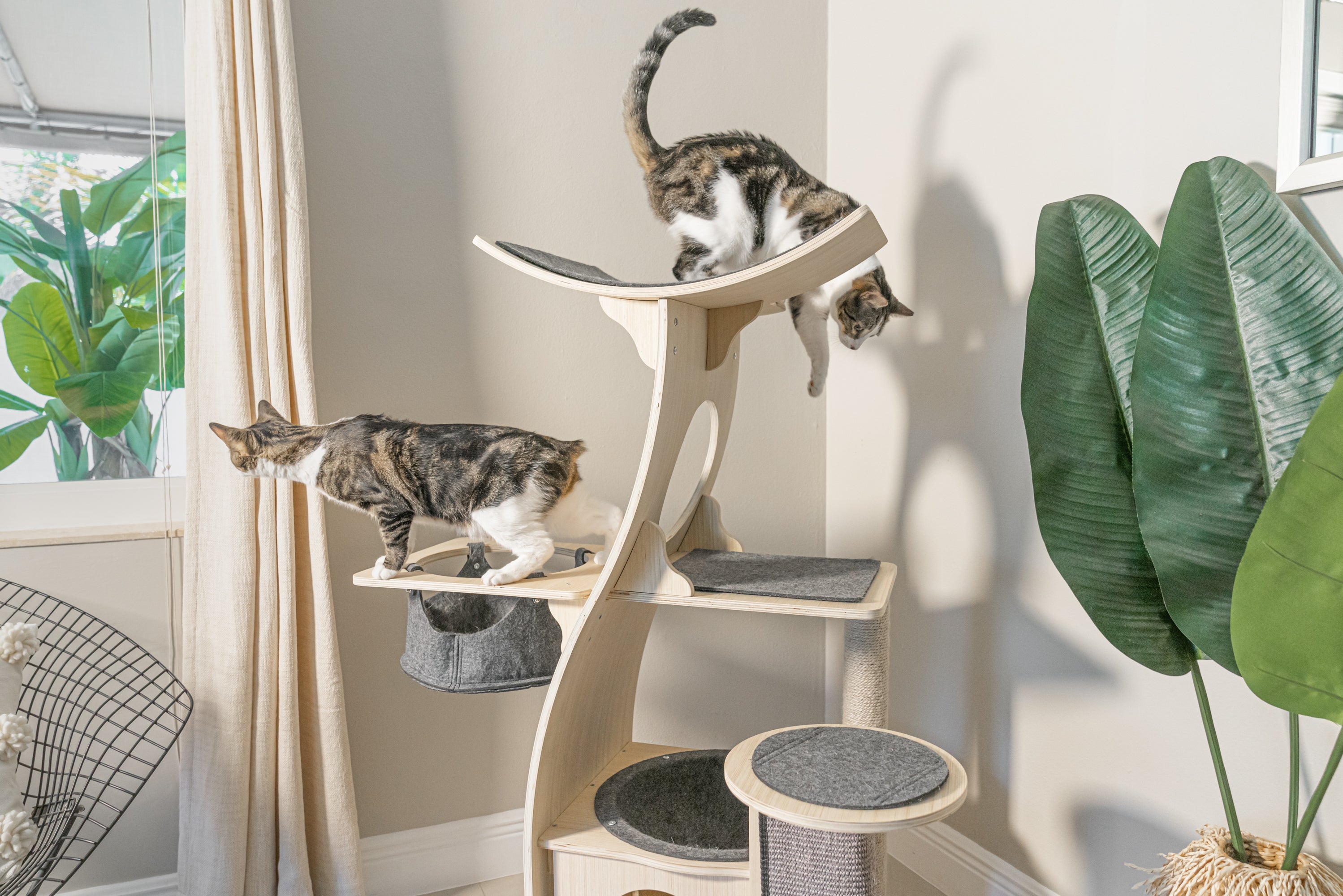 Dailypets Wooden Cat Tower with Observation Perch
