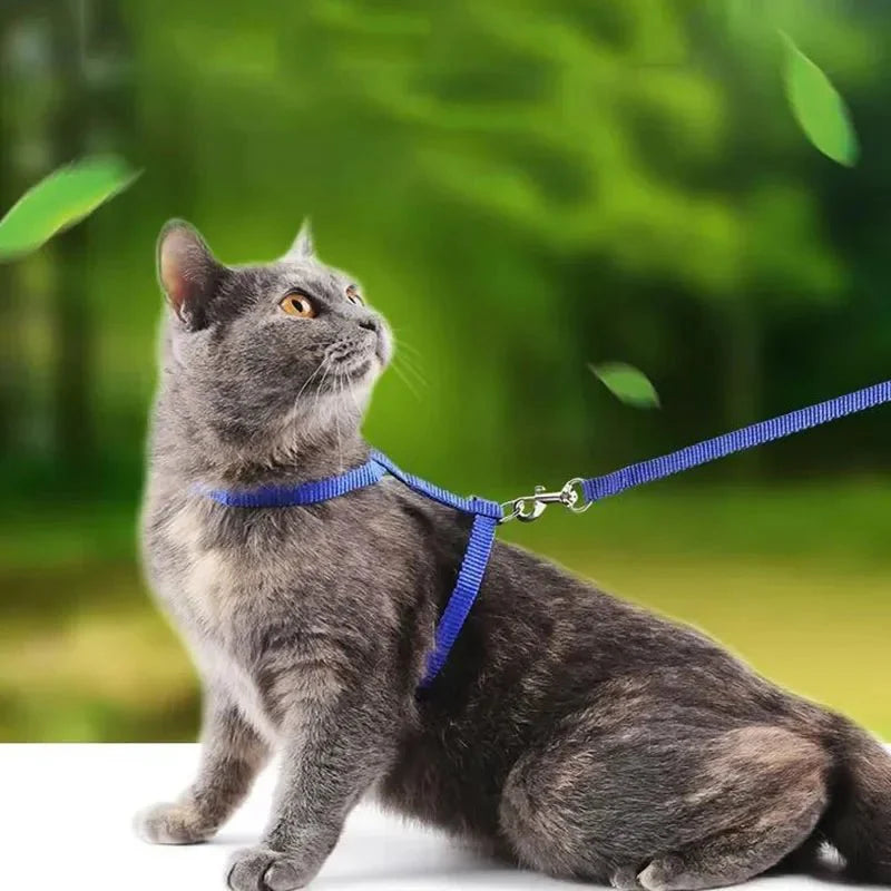 Dailypets Adjustable Nylon H Harness with Walking Leash for Small Pets