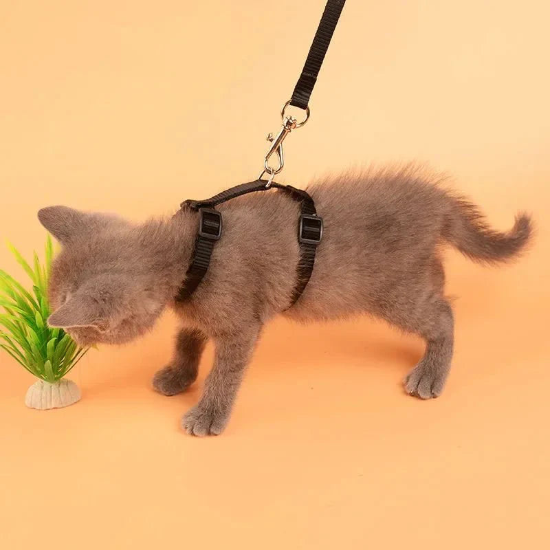 Dailypets Adjustable Nylon H Harness with Walking Leash for Small Pets