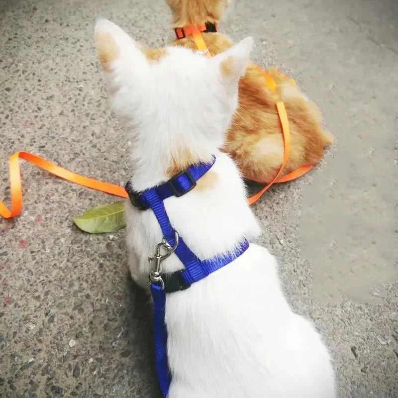 Dailypets Adjustable Nylon H Harness with Walking Leash for Small Pets