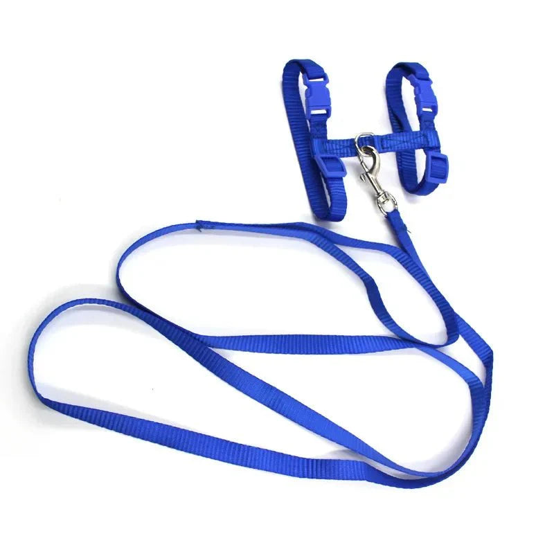 Dailypets Adjustable Nylon H Harness with Walking Leash for Small Pets