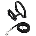Dailypets Adjustable Nylon H Harness with Walking Leash for Small Pets