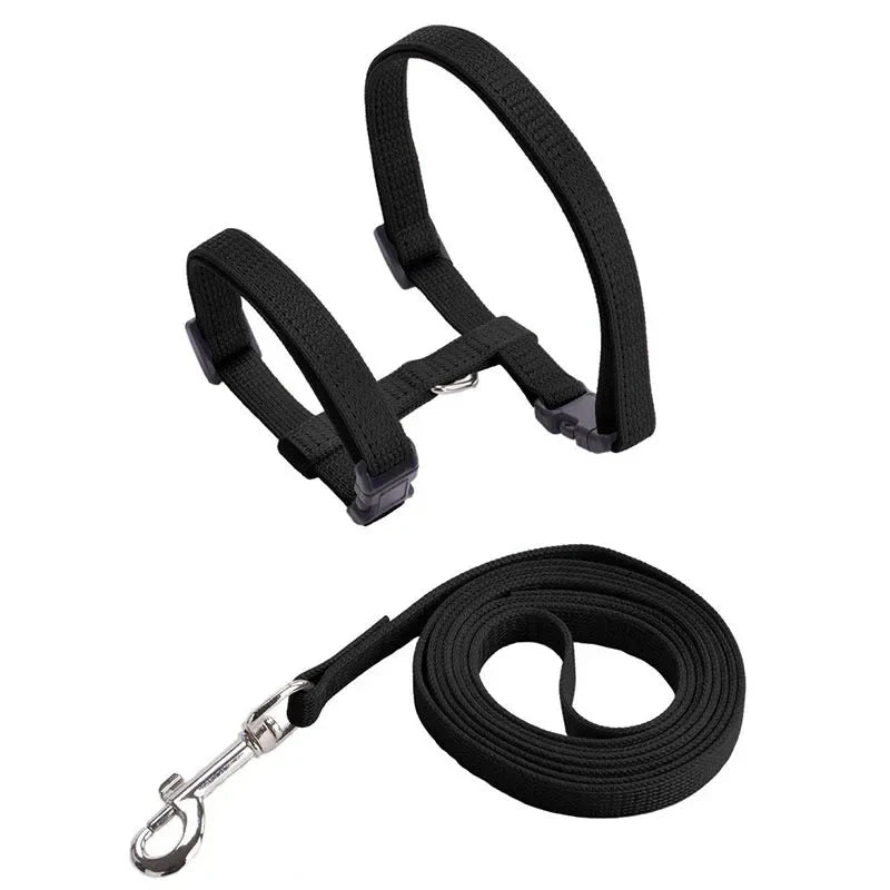 Dailypets Adjustable Nylon H Harness with Walking Leash for Small Pets