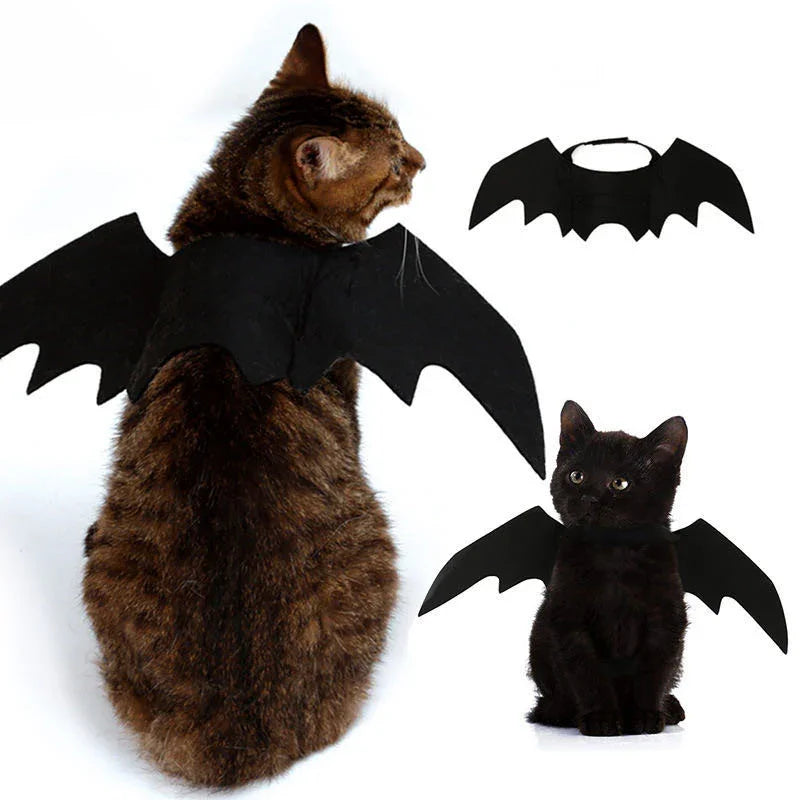Dailypets Halloween Bat Wings for Cats with Lightweight Pet-Friendly Design