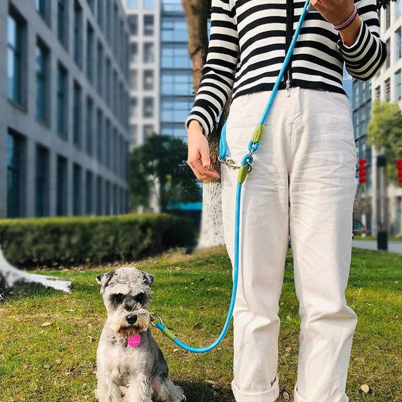 Dailypets Reflective Hands-Free Dog Leash with Bite-Resistant Chain for Running & Walking
