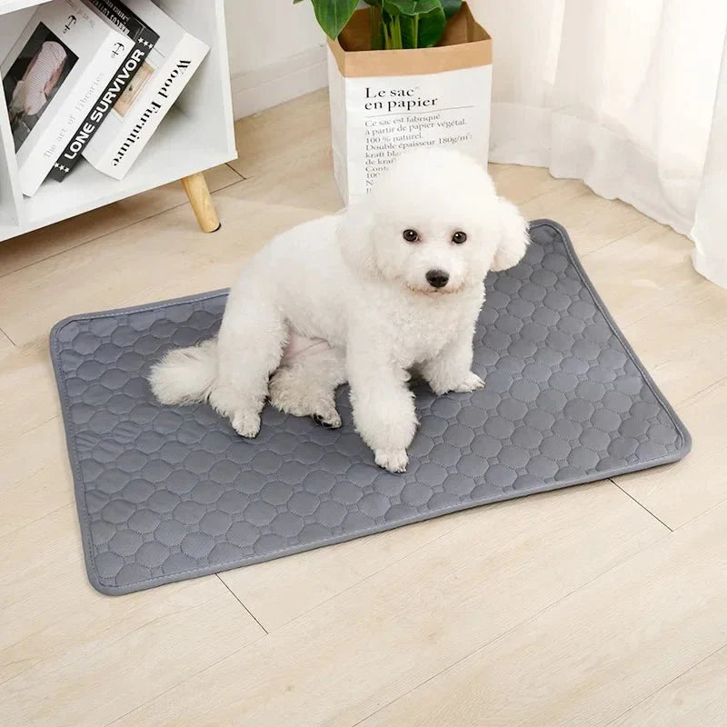 Dailypets Washable Pet Training Pad with Waterproof Base for Dogs and Puppies Daily