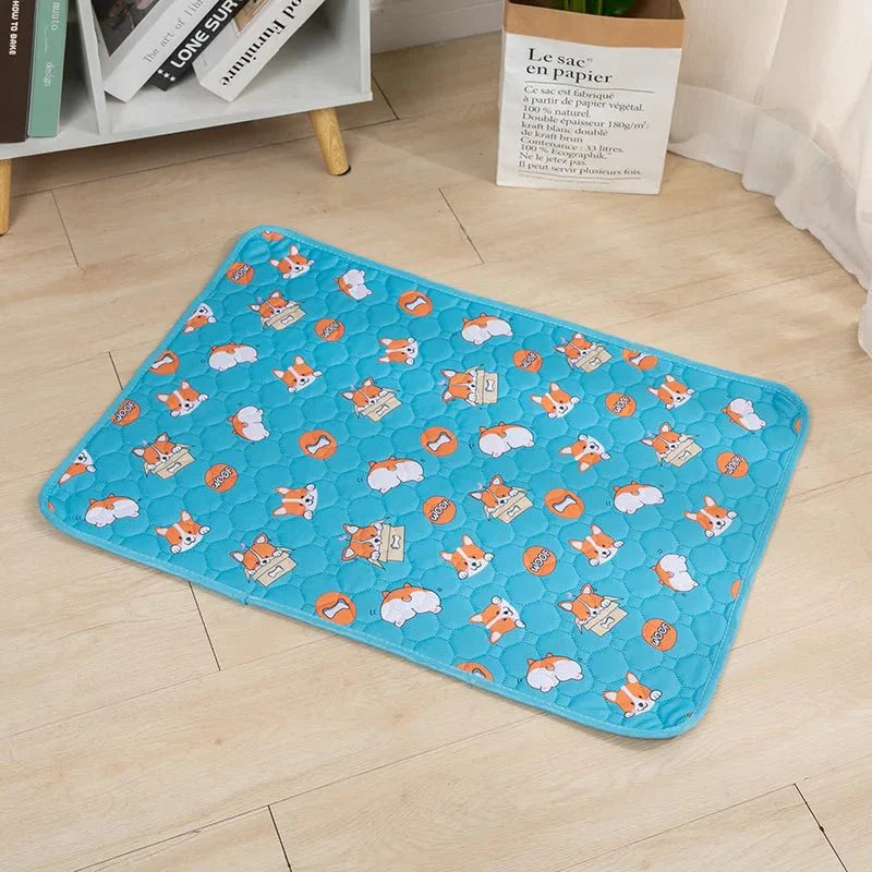 Dailypets Washable Pet Training Pad with Waterproof Base for Dogs and Puppies Daily