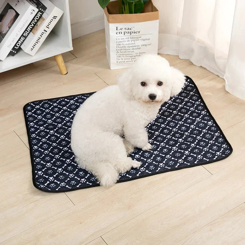 Dailypets Washable Pet Training Pad with Waterproof Base for Dogs and Puppies Daily