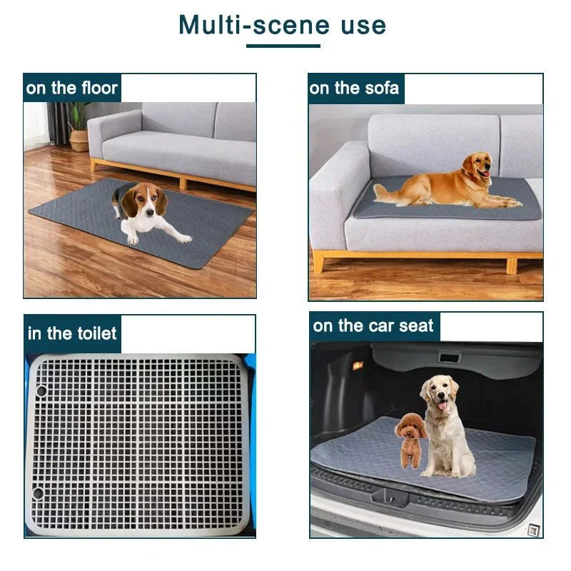 Dailypets Washable Pet Training Pad with Waterproof Base for Dogs and Puppies Daily