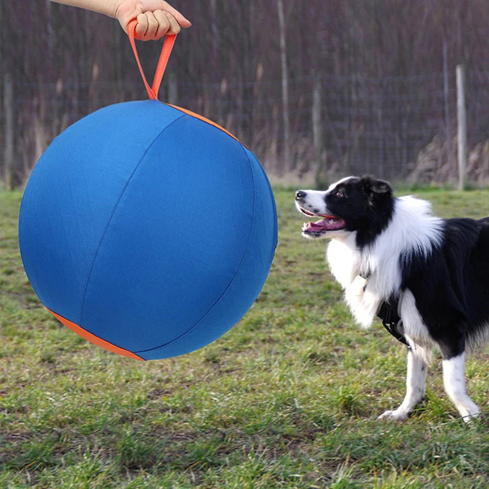Dailypets Large Outdoor Herding Ball for Dogs with Polyester Construction and Hand Pump