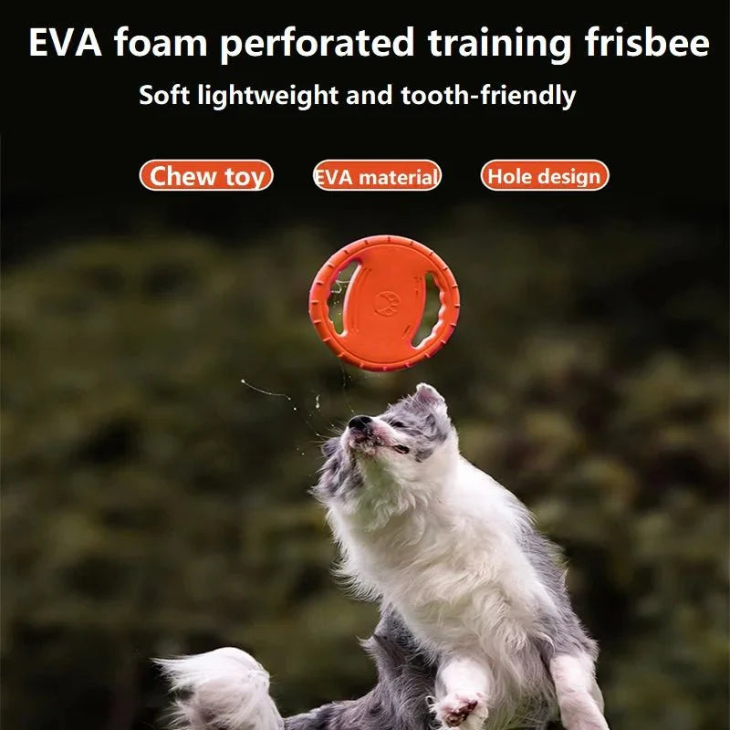 Dailypets Durable Dog Flying Disc for Fetch, Training & Outdoor Play