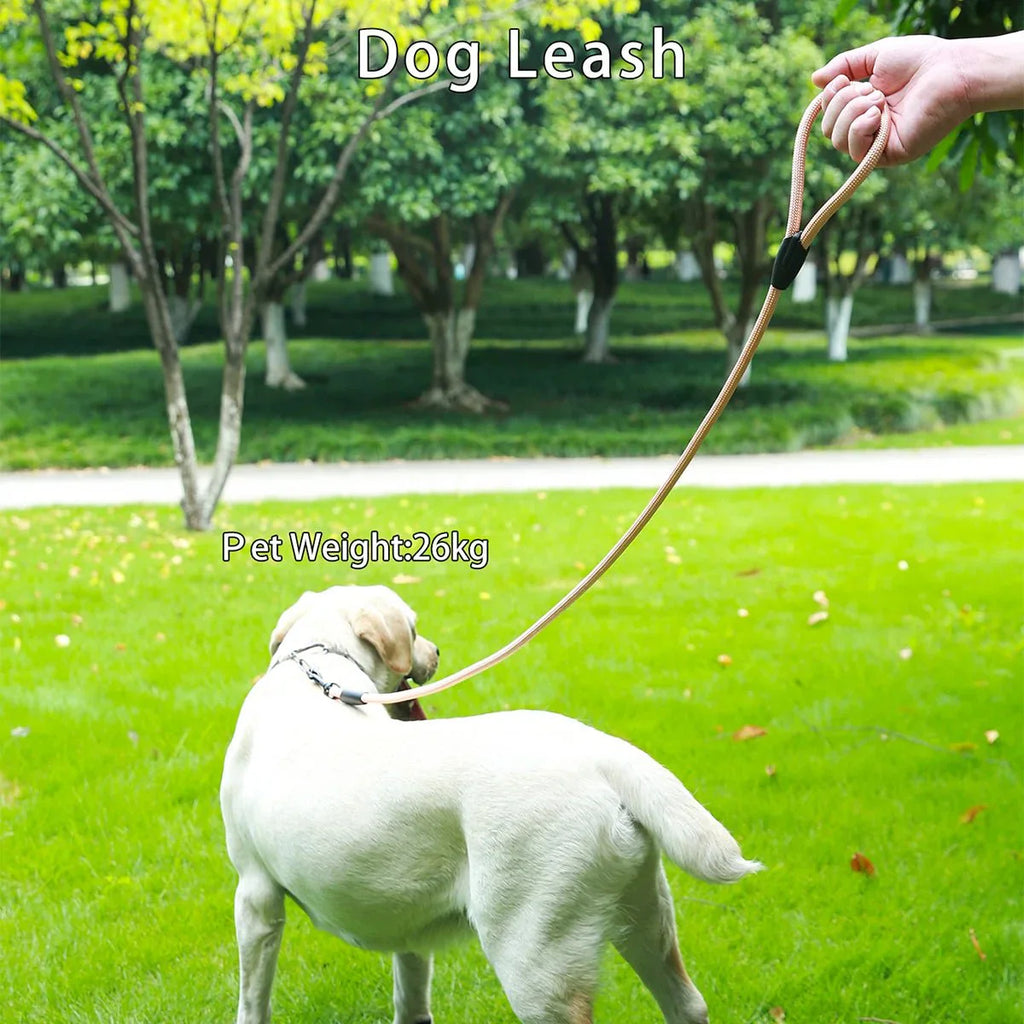 Dailypets Durable Dog Leash with Comfortable Grip for Training and Outdoor Adventures