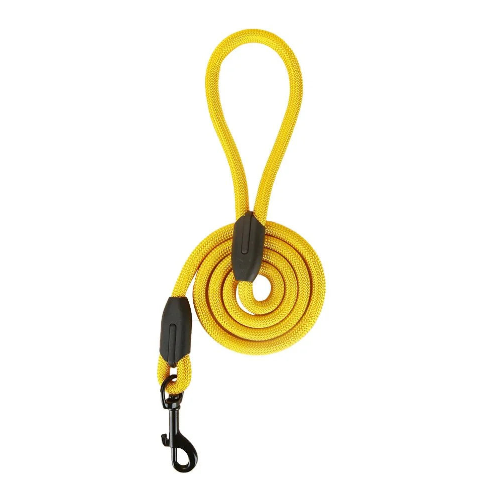 Dailypets Durable Dog Leash with Comfortable Grip for Training and Outdoor Adventures