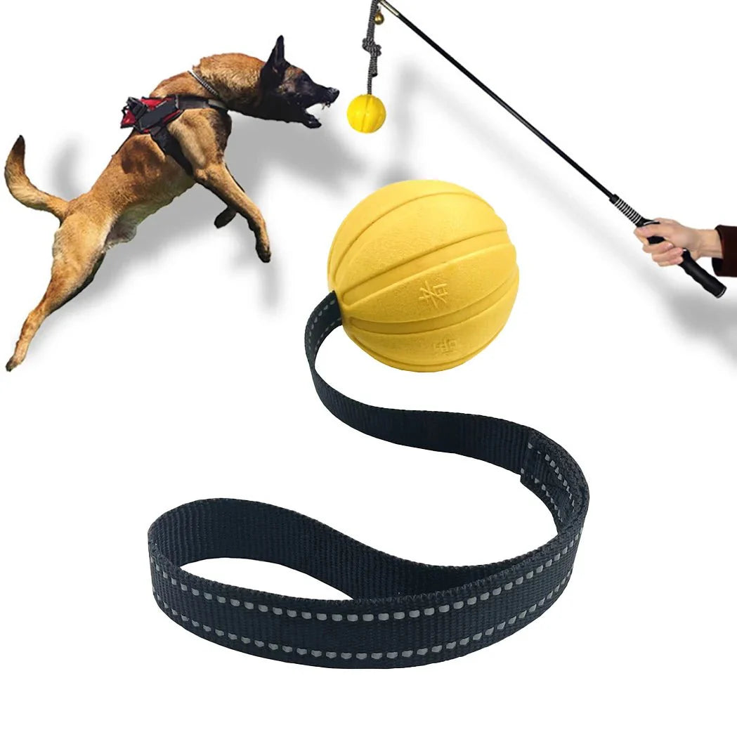 Dailypets Dog Rope Ball Toy for Chewing, Swimming & Outdoor Fun