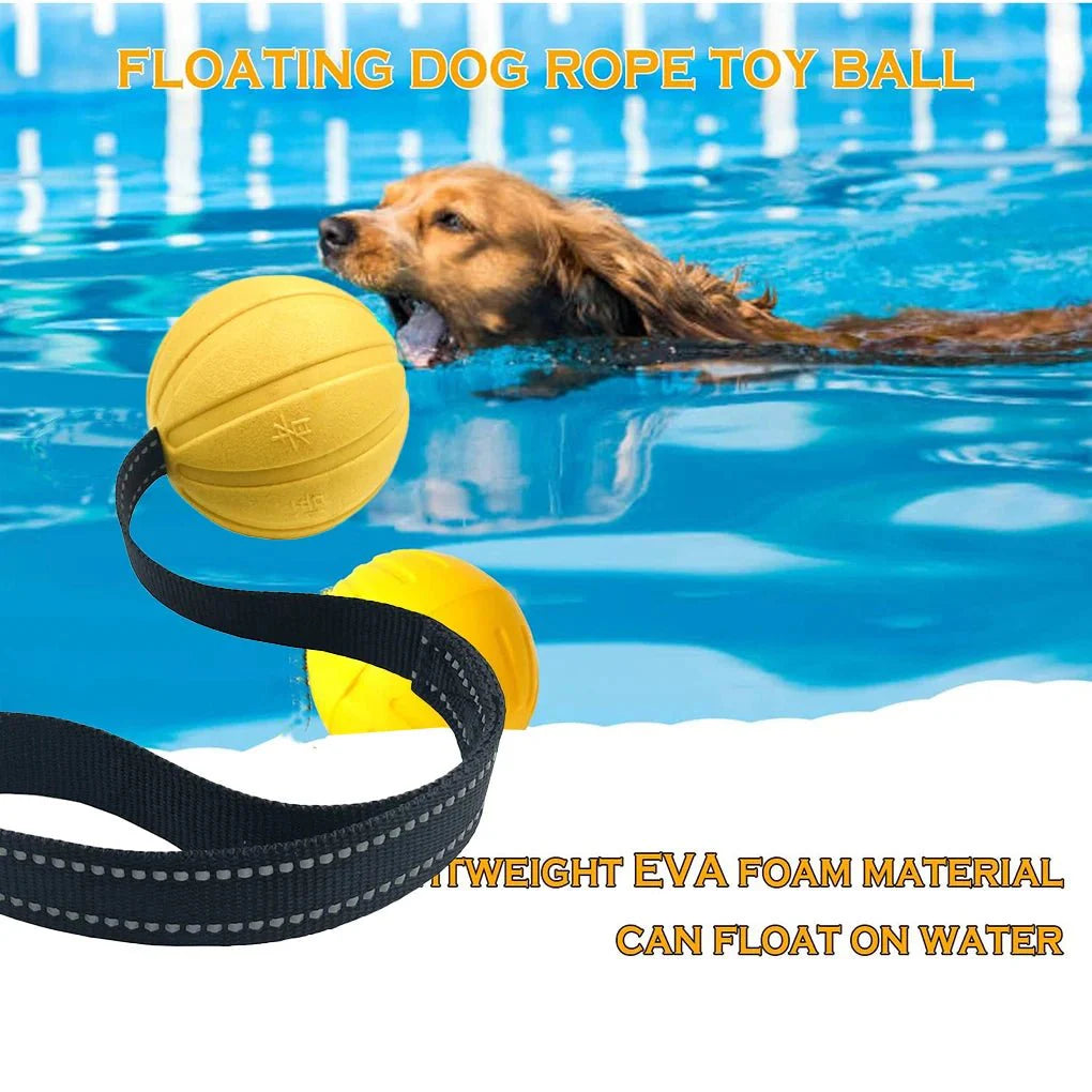 Dailypets Dog Rope Ball Toy for Chewing, Swimming & Outdoor Fun